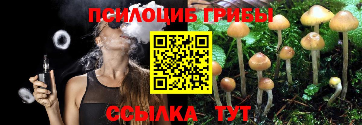 Псилоцибиновые грибы прущие грибы Набережные Челны