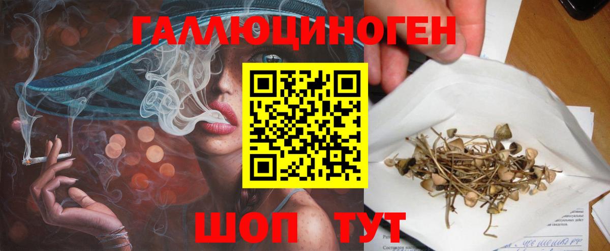 Набережные Челны  Псилоцибиновые грибы Cubensis  Вход с VPN  Псилоцибиновые грибы мухоморы 